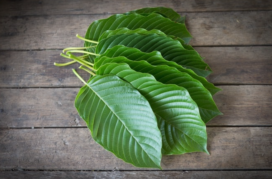 Kratom
