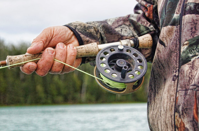 reels